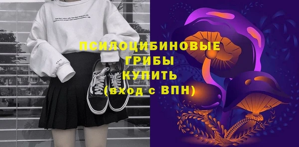 молекула духа Кинешма