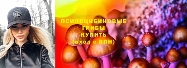 стаф Киренск