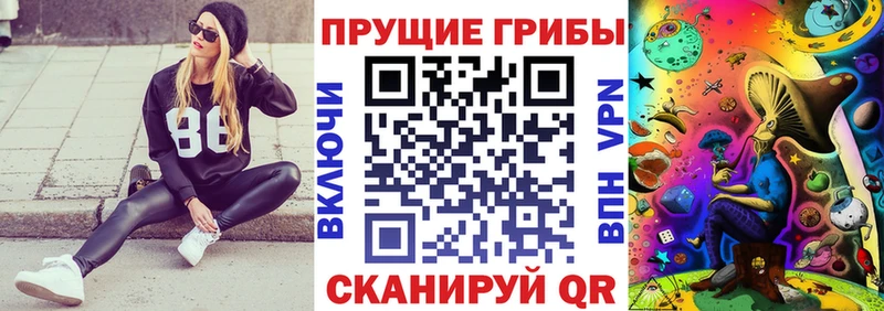Псилоцибиновые грибы ЛСД  Купить где  Новая Ляля 