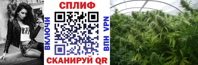Купить закладки  Новая Ляля  Бошки Шишки семена 